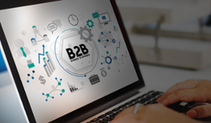 Diferencias entre Magento B2C y Magento B2B
